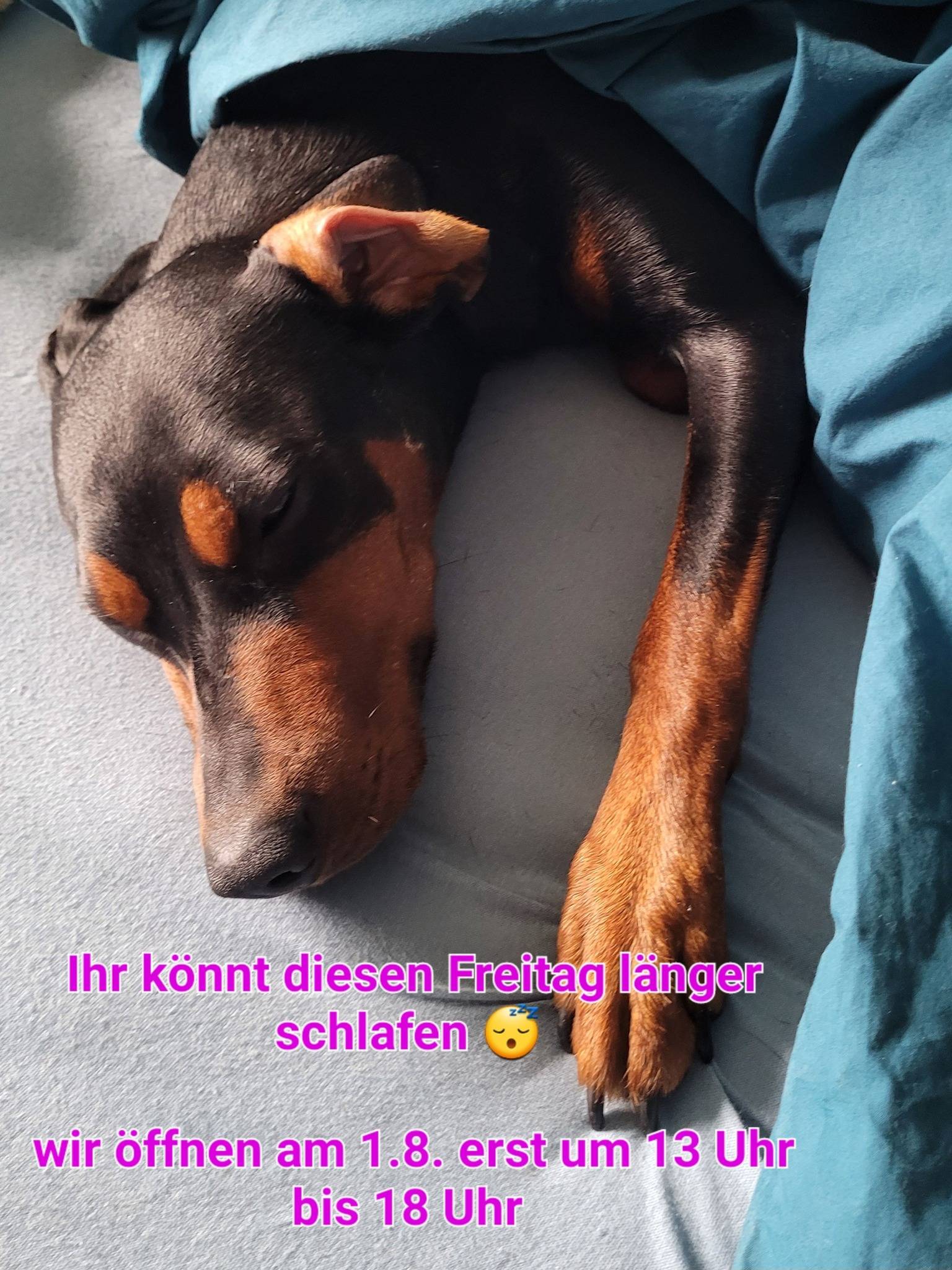 Freitag 1.August von 13 – 18 Uhr geöffnet